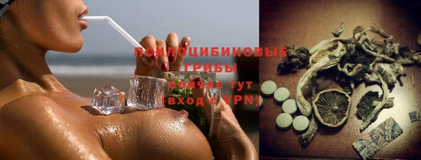PSILOCYBIN Гусь-Хрустальный