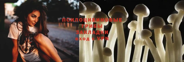 PSILOCYBIN Гусь-Хрустальный