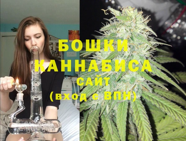 PSILOCYBIN Гусь-Хрустальный