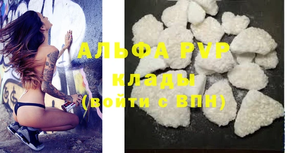 PSILOCYBIN Гусиноозёрск
