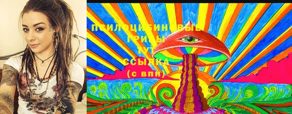 PSILOCYBIN Гусиноозёрск